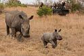 108 Zuid-Afrika, Sabi Sand Game Reserve